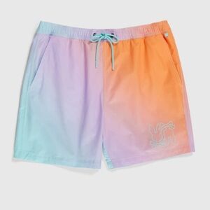 Gradient Men's Shorts
